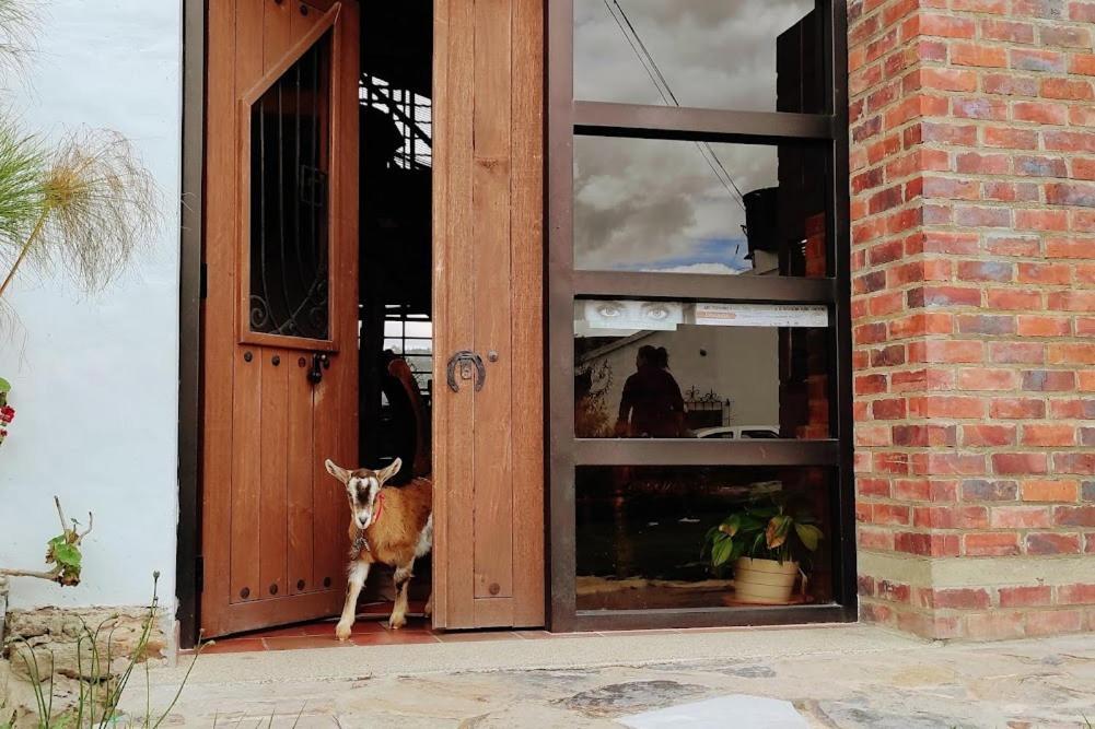 Cabanas & Glamping De Ruana Por Boyaca 파이파 외부 사진