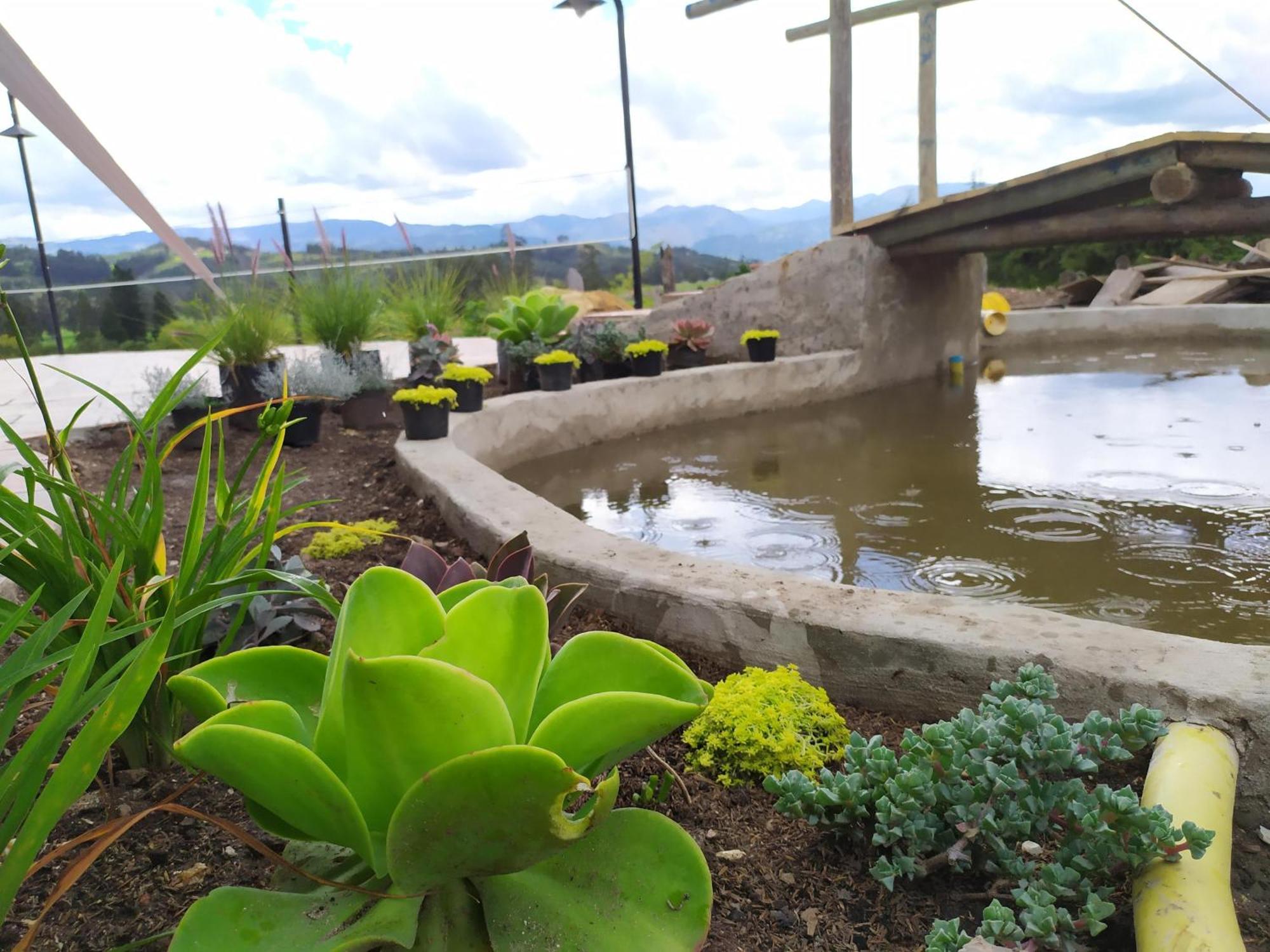 Cabanas & Glamping De Ruana Por Boyaca 파이파 외부 사진