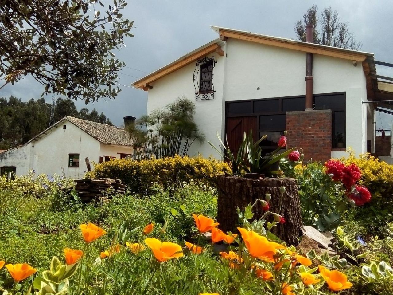 Cabanas & Glamping De Ruana Por Boyaca 파이파 외부 사진